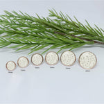 Light Gray Ivory Lace Stud Earrings - Rose Gold